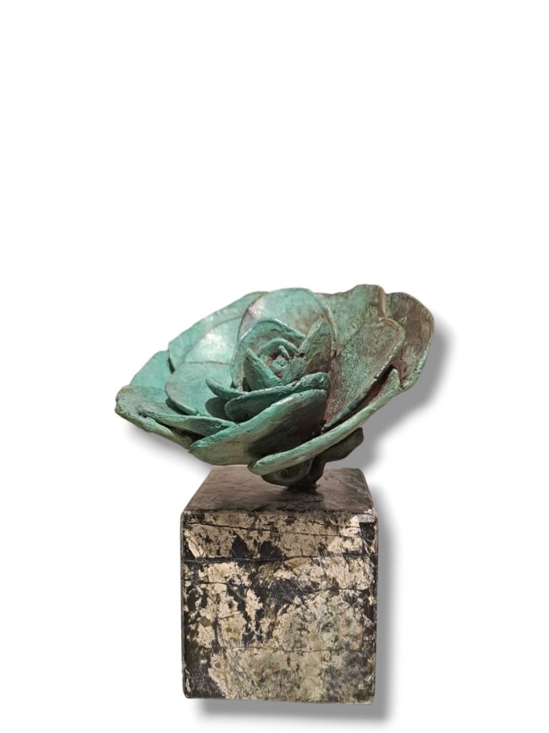 Escultura Camelia Xacobea