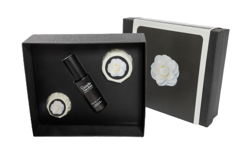Hair Care Ritual - Ritual de Cuidado Capilar